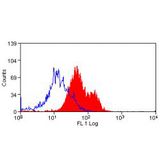 CD98 Antibody - Flow cytometry of mouse peripheral blood lymphocytes with Rat anti-Mouse CD98