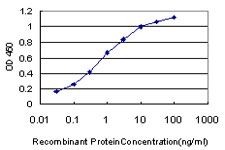 CDADC1 Antibody - Detection limit for recombinant GST tagged CDADC1 is approximately 0.03 ng/ml as a capture antibody.