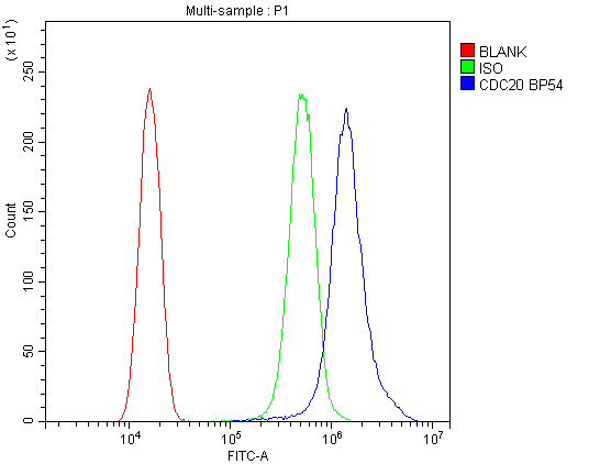 CDC20 Antibody - Flow Cytometry analysis of SiHa cells using anti-Cdc20 antibody. Overlay histogram showing SiHa cells stained with anti-Cdc20 antibody (Blue line). The cells were blocked with 10% normal goat serum. And then incubated with rabbit anti-Cdc20 Antibody (1µg/10E6 cells) for 30 min at 20°C. DyLight®488 conjugated goat anti-rabbit IgG (5-10µg/10E6 cells) was used as secondary antibody for 30 minutes at 20°C. Isotype control antibody (Green line) was rabbit IgG (1µg/10E6 cells) used under the same conditions. Unlabelled sample (Red line) was also used as a control.