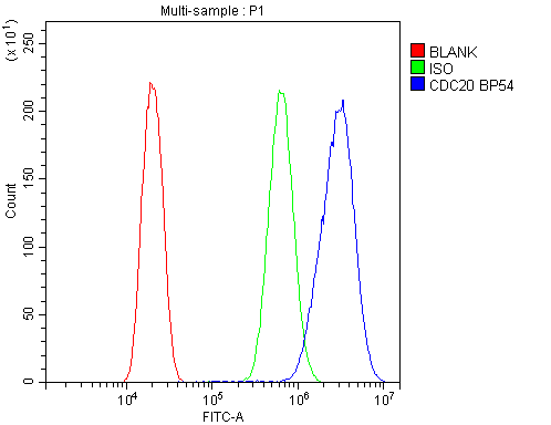 CDC20 Antibody - Flow Cytometry analysis of U20S cells using anti-Cdc20 antibody. Overlay histogram showing U20S cells stained with anti-Cdc20 antibody (Blue line). The cells were blocked with 10% normal goat serum. And then incubated with rabbit anti-Cdc20 Antibody (1µg/10E6 cells) for 30 min at 20°C. DyLight®488 conjugated goat anti-rabbit IgG (5-10µg/10E6 cells) was used as secondary antibody for 30 minutes at 20°C. Isotype control antibody (Green line) was rabbit IgG (1µg/10E6 cells) used under the same conditions. Unlabelled sample (Red line) was also used as a control.