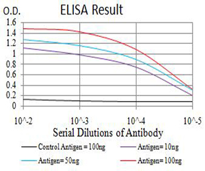 CDC37 Antibody - Black line: Control Antigen (100 ng);Purple line: Antigen (10ng); Blue line: Antigen (50 ng); Red line:Antigen (100 ng)