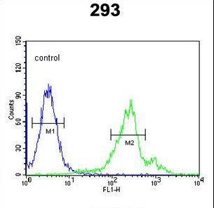 CDC42EP3 Antibody - CDC42EP3 Antibody flow cytometry of 293 cells (right histogram) compared to a negative control cell (left histogram). FITC-conjugated goat-anti-rabbit secondary antibodies were used for the analysis.