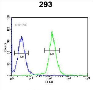 CDC45 Antibody - CDC45L Antibody flow cytometry of 293 cells (right histogram) compared to a negative control cell (left histogram). FITC-conjugated goat-anti-rabbit secondary antibodies were used for the analysis.
