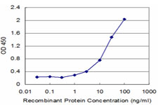 CDC5 / CDC5L Antibody - Detection limit for recombinant GST tagged CDC5L is approximately 1 ng/ml as a capture antibody.
