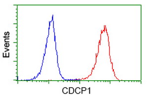 CDCP1 Antibody - Flow cytometry of Jurkat cells, using anti-CDCP1 antibody (Red), compared to a nonspecific negative control antibody (Blue).