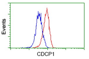 CDCP1 Antibody - Flow cytometry of HeLa cells, using anti-CDCP1 antibody (Red), compared to a nonspecific negative control antibody (Blue).