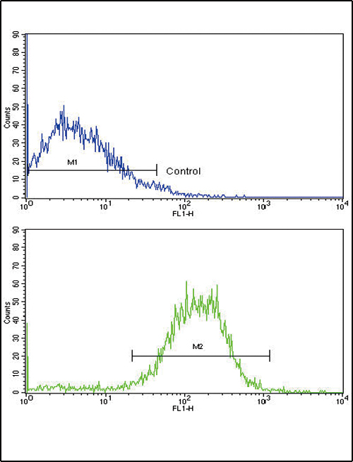 CDH1 / E Cadherin Antibody - Flow cytometric of NCI-H292 cells using E Cadherin (CDH1) Antibody (bottom histogram) compared to a negative control cell (top histogram). FITC-conjugated goat-anti-rabbit secondary antibodies were used for the analysis.