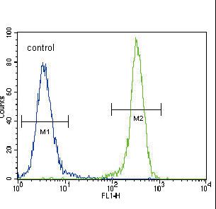 CDH1 / E Cadherin Antibody - E Cadherin (CDH1) Antibody flow cytometry of 293 cells (right histogram) compared to a negative control cell (left histogram). FITC-conjugated goat-anti-rabbit secondary antibodies were used for the analysis.