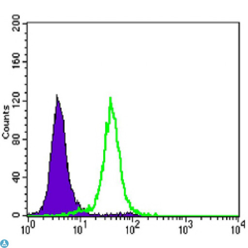 CDH1 / E Cadherin Antibody - Flow cytometric (FCM) analysis of HeLa cells using E-cadherin Monoclonal Antibody (green) and negative control (purple).