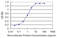 CDH2 / N Cadherin Antibody - Detection limit for recombinant GST tagged CDH2 is 0.03 ng/ml as a capture antibody.
