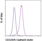 CDH2 / N Cadherin Antibody - Staining of the Hela cell line with Biotin Mouse IgG1, K isotype control (blue histogram) or Biotin anti-human CD325 (N-cadherin ) (purple histogram) followed by Sav-PE. Total viable cells were used for analysis. This image was taken for the unconjugated form of this product. Other forms have not been tested.