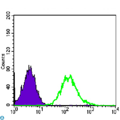 CDK1 / CDC2 Antibody - Flow cytometric (FCM) analysis of PC-2 cells using CDC2 Monoclonal Antibody (green) and negative control (purple).