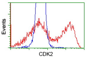 CDK2 Antibody - HEK293T cells transfected with either overexpress plasmid (Red) or empty vector control plasmid (Blue) were immunostained by anti-CDK2 antibody, and then analyzed by flow cytometry.