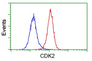 CDK2 Antibody - Flow cytometry of HeLa cells, using anti-CDK2 antibody (Red), compared to a nonspecific negative control antibody (Blue).