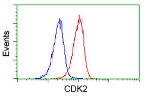 CDK2 Antibody - Flow cytometry of Jurkat cells, using anti-CDK2 antibody (Red), compared to a nonspecific negative control antibody (Blue).