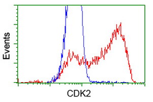CDK2 Antibody - HEK293T cells transfected with either overexpress plasmid (Red) or empty vector control plasmid (Blue) were immunostained by anti-CDK2 antibody, and then analyzed by flow cytometry.