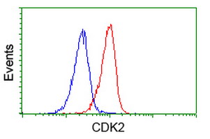 CDK2 Antibody - Flow cytometry of Jurkat cells, using anti-CDK2 antibody (Red), compared to a nonspecific negative control antibody (Blue).