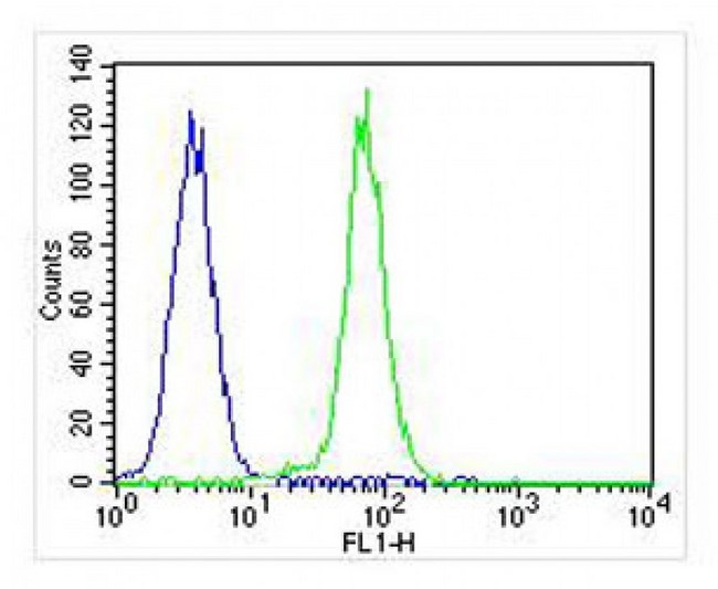 CDK5 Antibody - Overlay histogram showing K562 cells stained with antibody (green line). The cells were fixed with 2% paraformaldehyde (10 min) and then permeabilized with 90% methanol for 10 min. The cells were then incubated in 2% bovine serum albumin to block non-specific protein-protein interactions followed by the antibody (antibody, 1:25 dilution) for 60 min at 37°C. The secondary antibody used was Goat-Anti-Mouse IgG, DyLight 488 Conjugated Highly Cross-Adsorbed) at 1:400 dilution for 40 min at 37 ° C. Isotype control antibody (blue line) was mouse IgG1 (1ug/1x10^6 cells) used under the same conditions. Acquisition of >10, 000 events was performed.