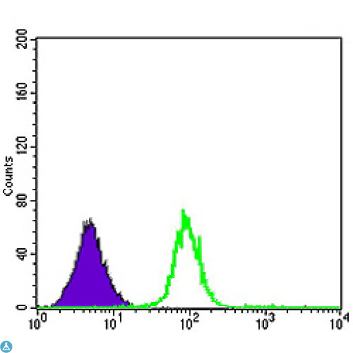 CDK5 Antibody - Flow cytometric (FCM) analysis of K562 cells using Cdk5 Monoclonal Antibody (green) and negative control (purple).