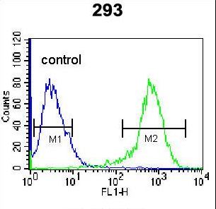 CDK8 Antibody - CDK8 Antibody flow cytometry of 293 cells (right histogram) compared to a negative control cell (left histogram). FITC-conjugated goat-anti-rabbit secondary antibodies were used for the analysis.