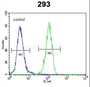 CDKN1A / WAF1 / p21 Antibody - p21 (CDKN1A) Antibody flow cytometry of 293 cells (right histogram) compared to a negative control cell (left histogram). FITC-conjugated goat-anti-rabbit secondary antibodies were used for the analysis.