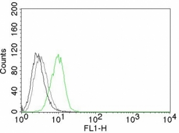 CDKN1B / p27 Kip1 Antibody - Flow cytometry testing of HeLa cells. Black: cells alone; Grey: isotype control; Green: AF488-labeled p27 antibody (DCS-72.F6).  This image was taken for the unmodified form of this product. Other forms have not been tested.