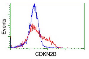 CDKN2B / p15 INK4b Antibody - HEK293T cells transfected with either overexpress plasmid (Red) or empty vector control plasmid (Blue) were immunostained by anti-CDKN2B antibody, and then analyzed by flow cytometry.