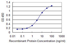 CDKN2D / p19 INK4d Antibody - Detection limit for recombinant GST tagged CDKN2D is 0.1 ng/ml as a capture antibody.