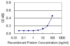 CDO1 / Cysteine Dioxygenase Antibody - Detection limit for recombinant GST tagged CDO1 is 3 ng/ml as a capture antibody.