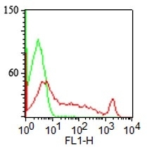 CDw75 Antibody - Surface staining of human lymphocytes with CDw75 antibody (LN1) (red) and isotype control (green). PPI negative population analyzed.  This image was taken for the unmodified form of this product. Other forms have not been tested.