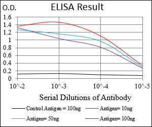 CDX2 Antibody - Red: Control Antigen (100ng); Purple: Antigen (10ng); Green: Antigen (50ng); Blue: Antigen (100ng);