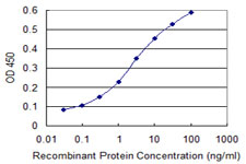 CDX4 Antibody - Detection limit for recombinant GST tagged CDX4 is 0.03 ng/ml as a capture antibody.