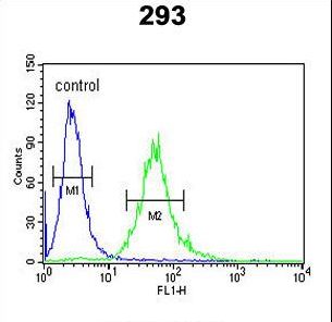 CEA / Carcinoembryonic Antigen Antibody - CEA Antibody flow cytometry of 293 cells (right histogram) compared to a negative control cell (left histogram). FITC-conjugated goat-anti-rabbit secondary antibodies were used for the analysis.