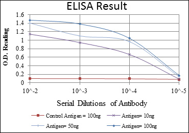 CEA / Carcinoembryonic Antigen Antibody - Red: Control Antigen (100ng); Purple: Antigen (10ng); Green: Antigen (50ng); Blue: Antigen (100ng);