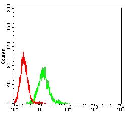 CEACAM5 / CD66e Antibody - Flow cytometric analysis of K562 cells using CEACAM5 mouse mAb (green) and negative control (red).