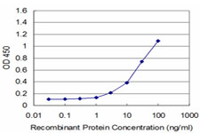 CELA3A / ELA3 Antibody - Detection limit for recombinant GST tagged ELA3A is approximately 1 ng/ml as a capture antibody.