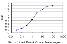 CELSR3 Antibody - Detection limit for recombinant GST tagged CELSR3 is approximately 0.03 ng/ml as a capture antibody.