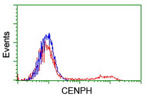 CENPH / CENP-H Antibody - HEK293T cells transfected with either overexpress plasmid (Red) or empty vector control plasmid (Blue) were immunostained by anti-CENPH antibody, and then analyzed by flow cytometry.