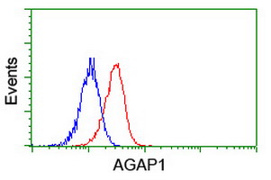 CENTG2 / AGAP1 Antibody - Flow cytometry of Jurkat cells, using anti-AGAP1 antibody (Red), compared to a nonspecific negative control antibody (Blue).