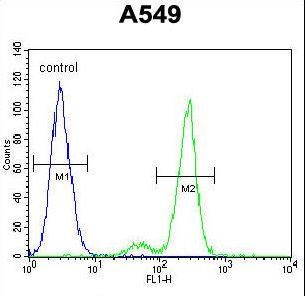 CEP164 Antibody - CE164 Antibody flow cytometry of A549 cells (right histogram) compared to a negative control cell (left histogram). FITC-conjugated goat-anti-rabbit secondary antibodies were used for the analysis.