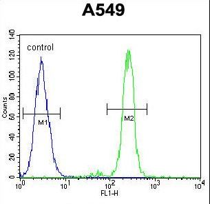 CEP70 Antibody - CEP70 Antibody flow cytometry of A549 cells (right histogram) compared to a negative control cell (left histogram). FITC-conjugated goat-anti-rabbit secondary antibodies were used for the analysis.