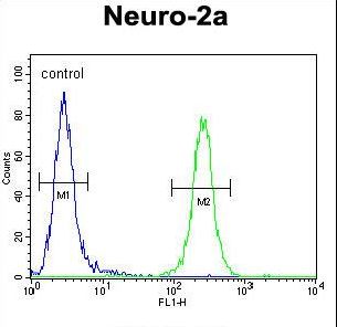 CEP89 Antibody - CCDC123 Antibody flow cytometry of Neuro-2a cells (right histogram) compared to a negative control cell (left histogram). FITC-conjugated goat-anti-rabbit secondary antibodies were used for the analysis.