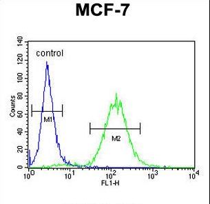 CES2 / Esterase Antibody - CES2 Antibody flow cytometry of MCF-7 cells (right histogram) compared to a negative control cell (left histogram). FITC-conjugated goat-anti-rabbit secondary antibodies were used for the analysis.