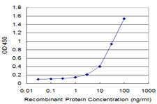 CFHR1 Antibody - Detection limit for recombinant GST tagged CFHR1 is approximately 1 ng/ml as a capture antibody.
