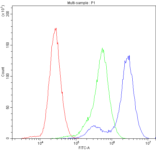 CFI / Complement Factor I Antibody - Flow Cytometry analysis of U-87 cells using anti-Factor I antibody. Overlay histogram showing U-87 cells stained with anti-Factor I antibody (Blue line). The cells were blocked with 10% normal goat serum. And then incubated with rabbit anti-Factor I Antibody (1µg/10E6 cells) for 30 min at 20°C. DyLight®488 conjugated goat anti-rabbit IgG (5-10µg/10E6 cells) was used as secondary antibody for 30 minutes at 20°C. Isotype control antibody (Green line) was rabbit IgG (1µg/10E6 cells) used under the same conditions. Unlabelled sample (Red line) was also used as a control.