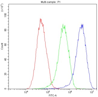 CFI / Complement Factor I Antibody - Flow Cytometry analysis of HEPG2 cells using anti-Factor I antibody. Overlay histogram showing HEPG2 cells stained with anti-Factor I antibody (Blue line). The cells were blocked with 10% normal goat serum. And then incubated with rabbit anti-Factor I Antibody (1µg/10E6 cells) for 30 min at 20°C. DyLight®488 conjugated goat anti-rabbit IgG (5-10µg/10E6 cells) was used as secondary antibody for 30 minutes at 20°C. Isotype control antibody (Green line) was rabbit IgG (1µg/10E6 cells) used under the same conditions. Unlabelled sample (Red line) was also used as a control.