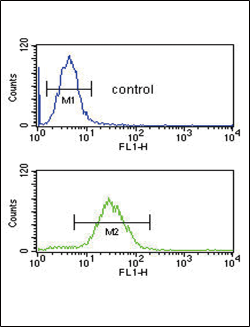CFL1 / Cofilin Antibody - CFL1 Antibody flow cytometry of HL-60 cells (bottom histogram) compared to a negative control cell (top histogram). FITC-conjugated goat-anti-rabbit secondary antibodies were used for the analysis.