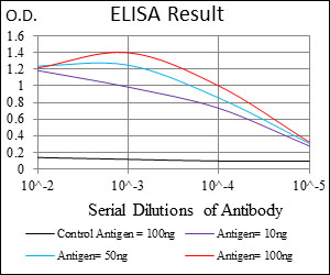CFLAR / FLIP Antibody - Red: Control Antigen (100ng); Purple: Antigen (10ng); Green: Antigen (50ng); Blue: Antigen (100ng);