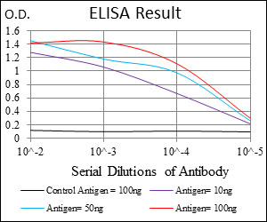 CFLAR / FLIP Antibody - Red: Control Antigen (100ng); Purple: Antigen (10ng); Green: Antigen (50ng); Blue: Antigen (100ng);