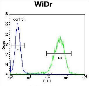 CHCHD2 Antibody - CHCHD2 Antibody flow cytometry of WiDr cells (right histogram) compared to a negative control cell (left histogram). FITC-conjugated goat-anti-rabbit secondary antibodies were used for the analysis.